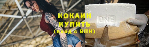 стафф Алексин