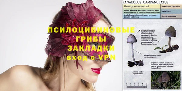 индика Алзамай