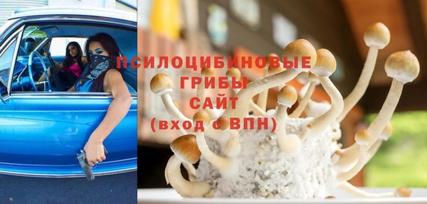 индика Алзамай