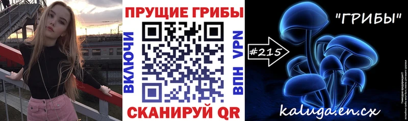 hydra как войти  Санкт-Петербург  Псилоцибиновые грибы Psilocybine cubensis 