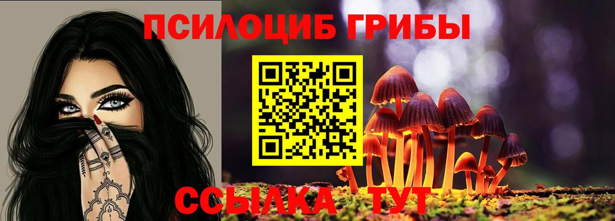 Галлюциногенные грибы мухоморы Санкт-Петербург